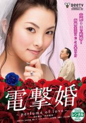 电击婚/闪婚